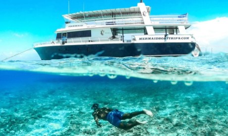 Snorkeling during a Klein Curacao day trip